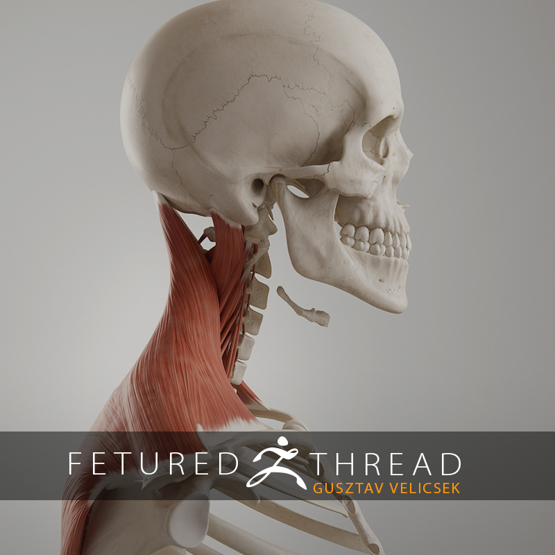 3D4Medical Creates Acclaimed 3D Anatomy App
