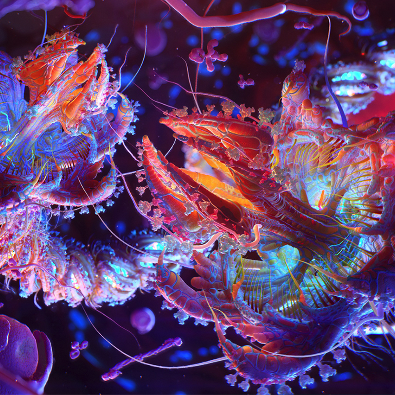 Biomedical Visualization Taken to New Heights by Newt Studios