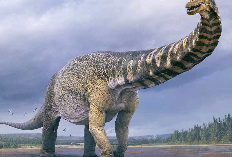 Australia’s Largest Known Dinosaur Digitally Recreated, 3D Printed Full Scale