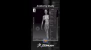 Anatomy Study in ZBrush